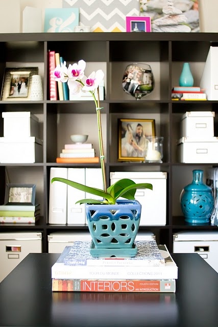 Blue Ceramic Planter Adds Color to Book Stack