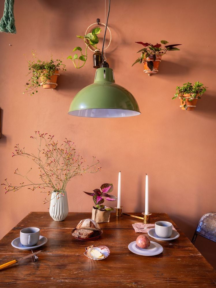 Varying Heights of Terracotta Wall Planters