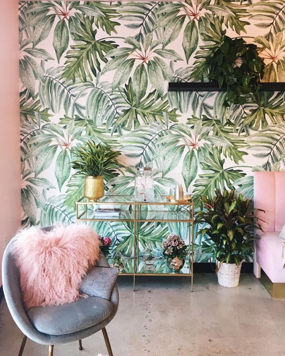 Gold-Framed Mirrored Cabinet for a Glamorous Plant Display