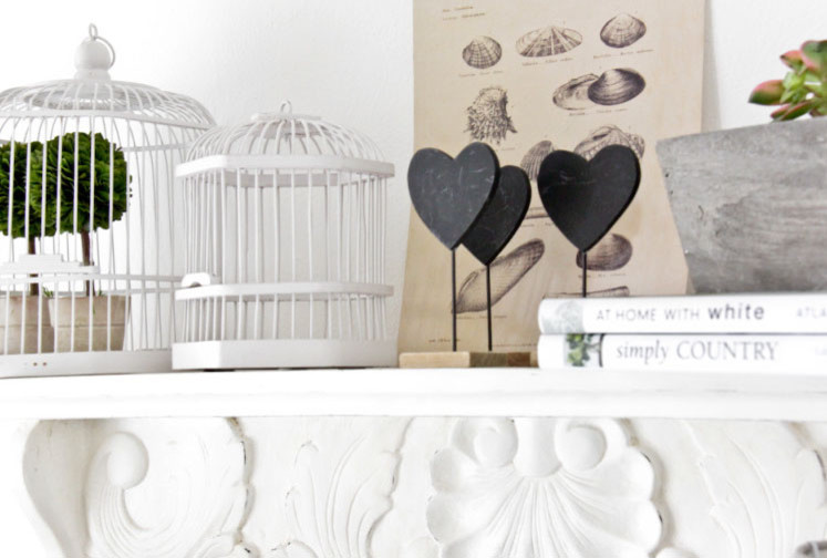 Frame Botanical Prints with Decorative Bird Cages