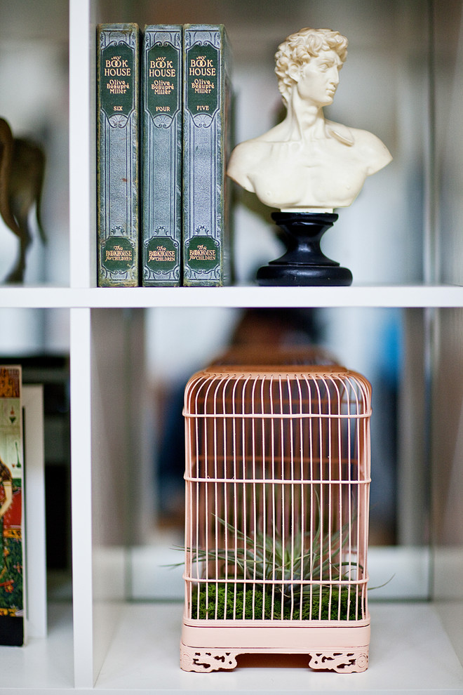 Plant an Air Plant in a Pink Bird Cage Planter