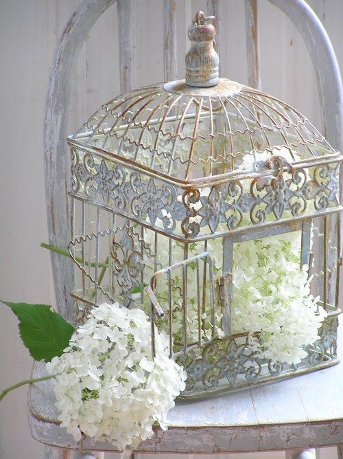 Ornate Bird Cage Filled With Hydrangeas