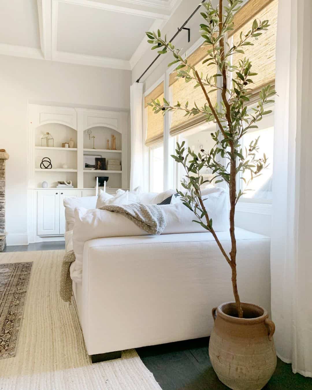 Terracotta Pot Next to White Sofa