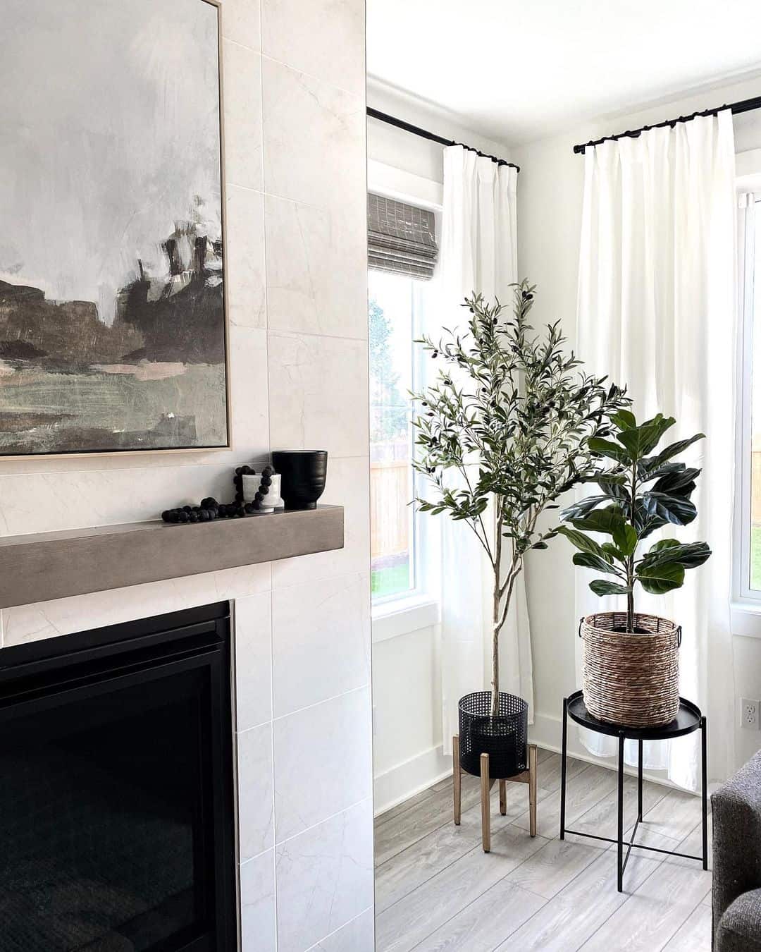 Olive Tree Surrounded by White Window Drapes